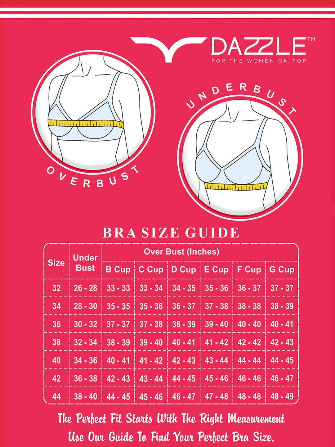 Medium Coverage Padded Nylon Lace Fashion Bra | DB 576